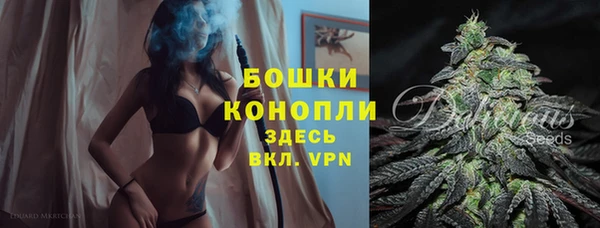 дмт Осташков