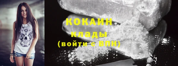 дмт Осташков