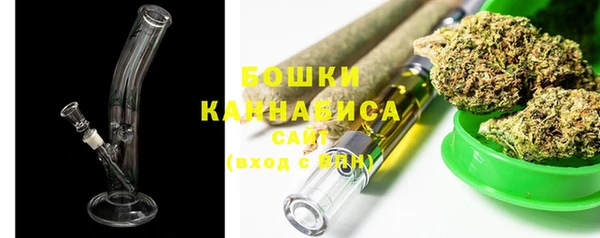 хмурый Осинники