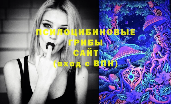 хмурый Осинники