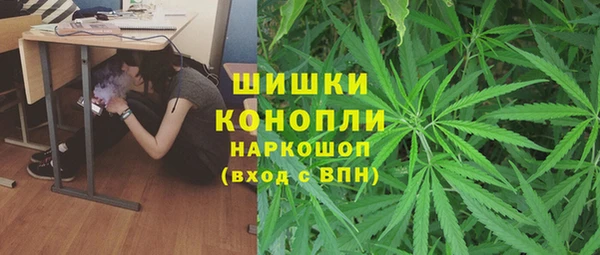 тгк Переславль-Залесский