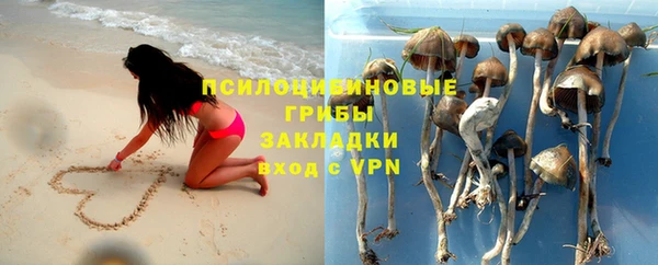твердый Дубна