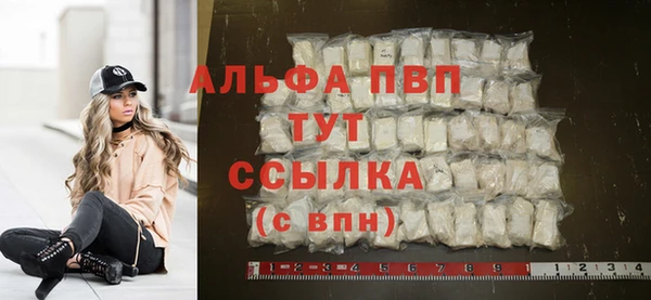 хмурый Осинники