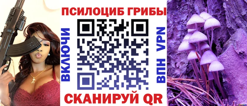 Галлюциногенные грибы Cubensis  наркотики  Зеленогорск 