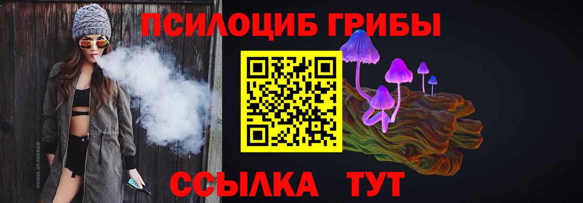 Галлюциногенные грибы Psilocybine cubensis Зеленогорск